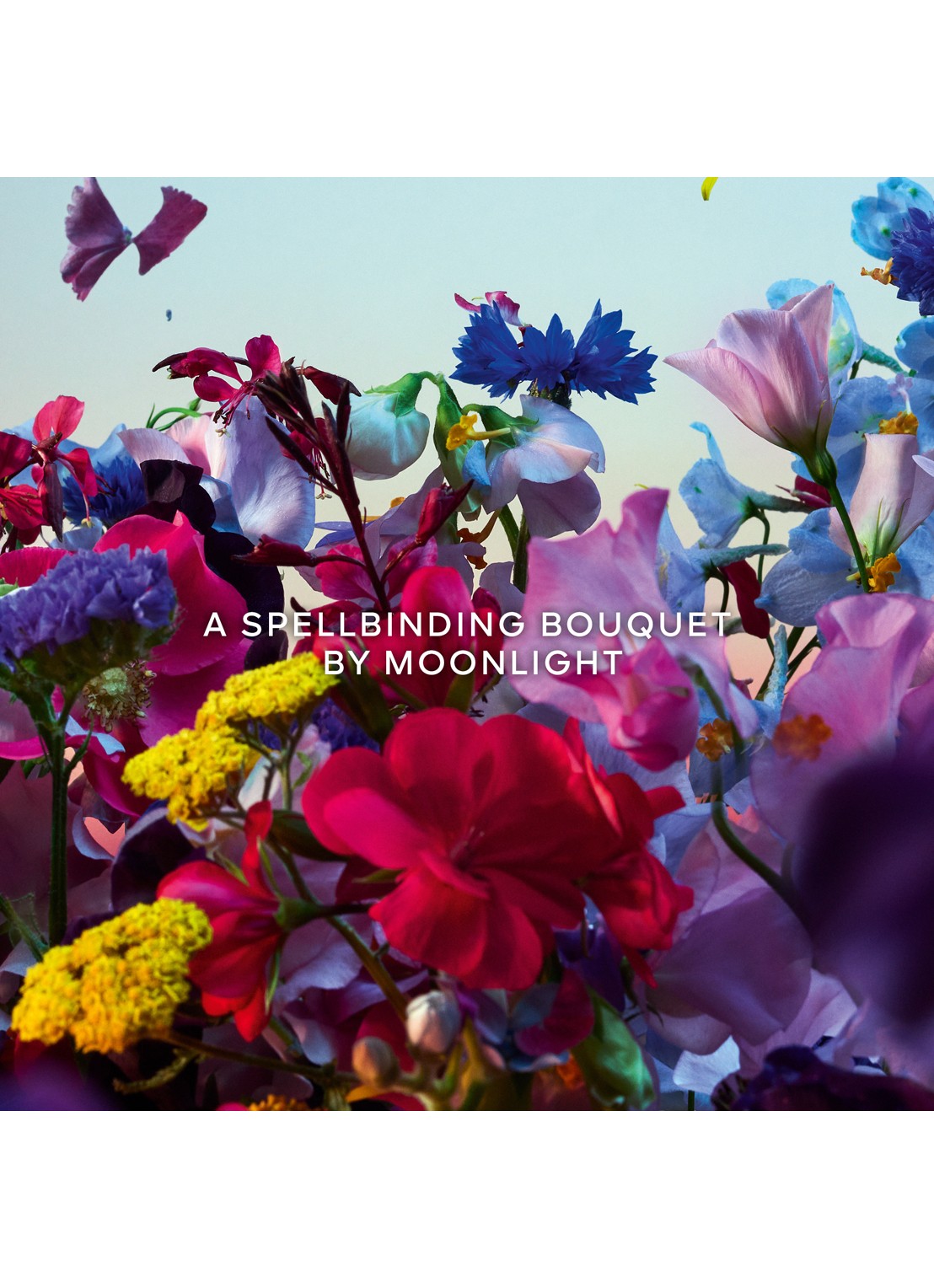 Guerlain Absolus Allegoria Florabloom Eau de Parfum - detail 5 undefined