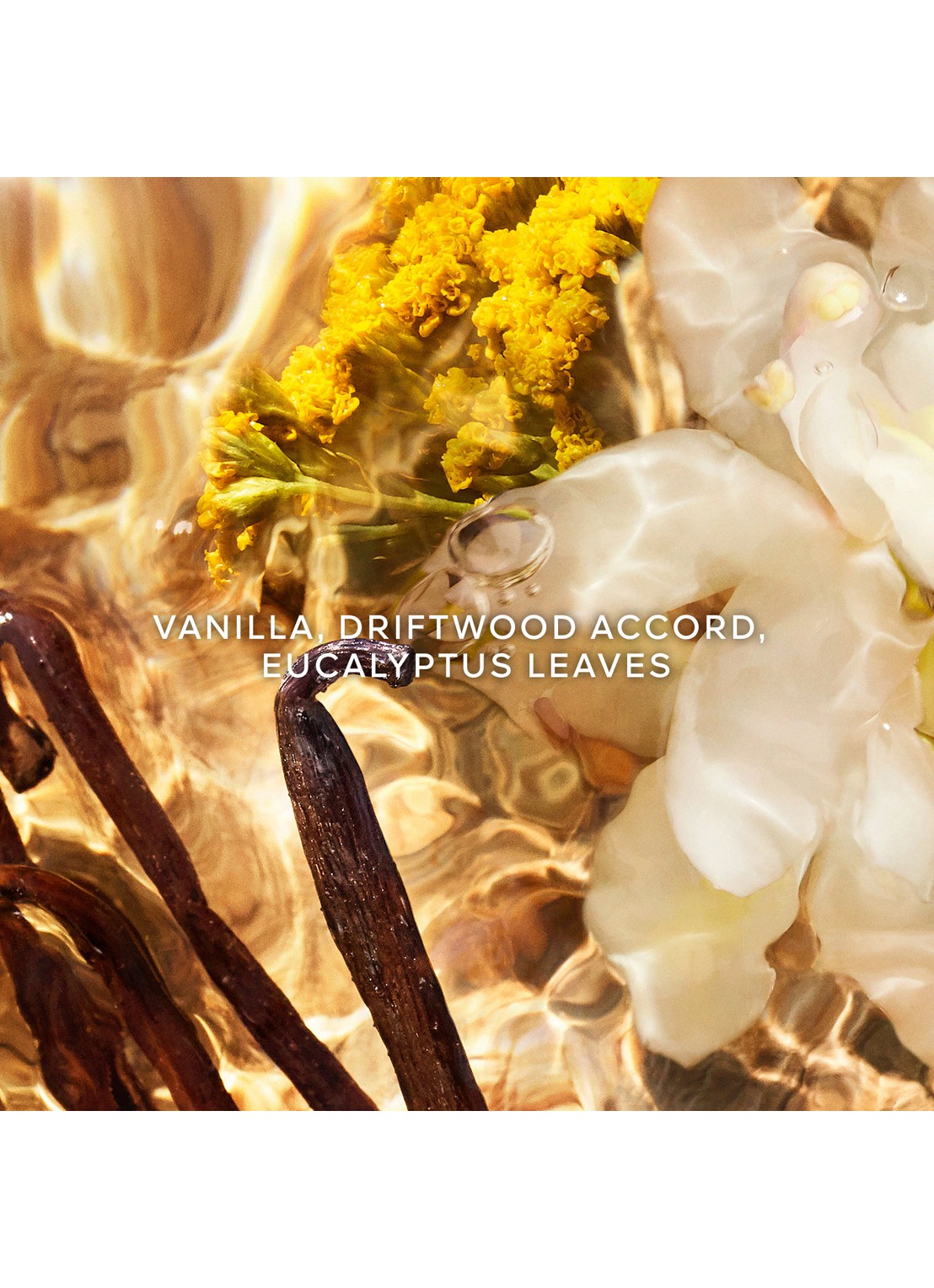 Guerlain Aqua Allegoria Forte Bosca Vanilla  Eau de Parfum - detail 4 undefined