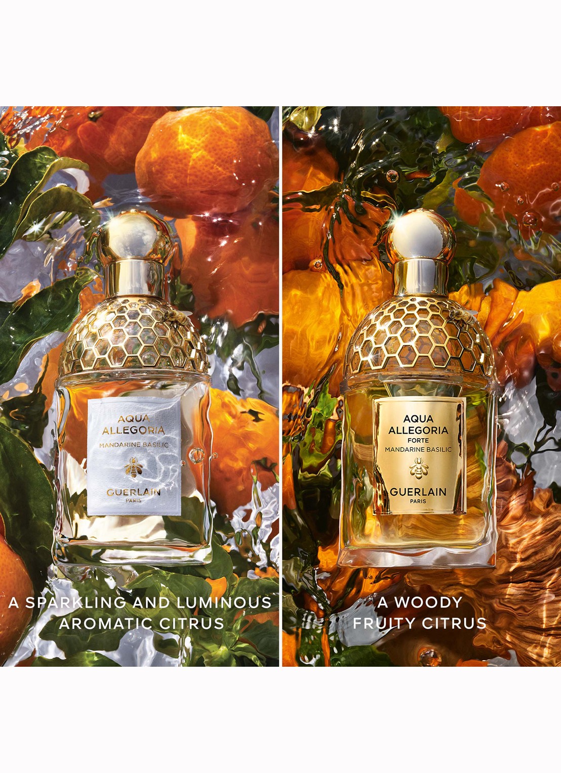 Guerlain Aqua Allegoria Forte Mandarine Basilic Eau de Parfum - detail 2 undefined