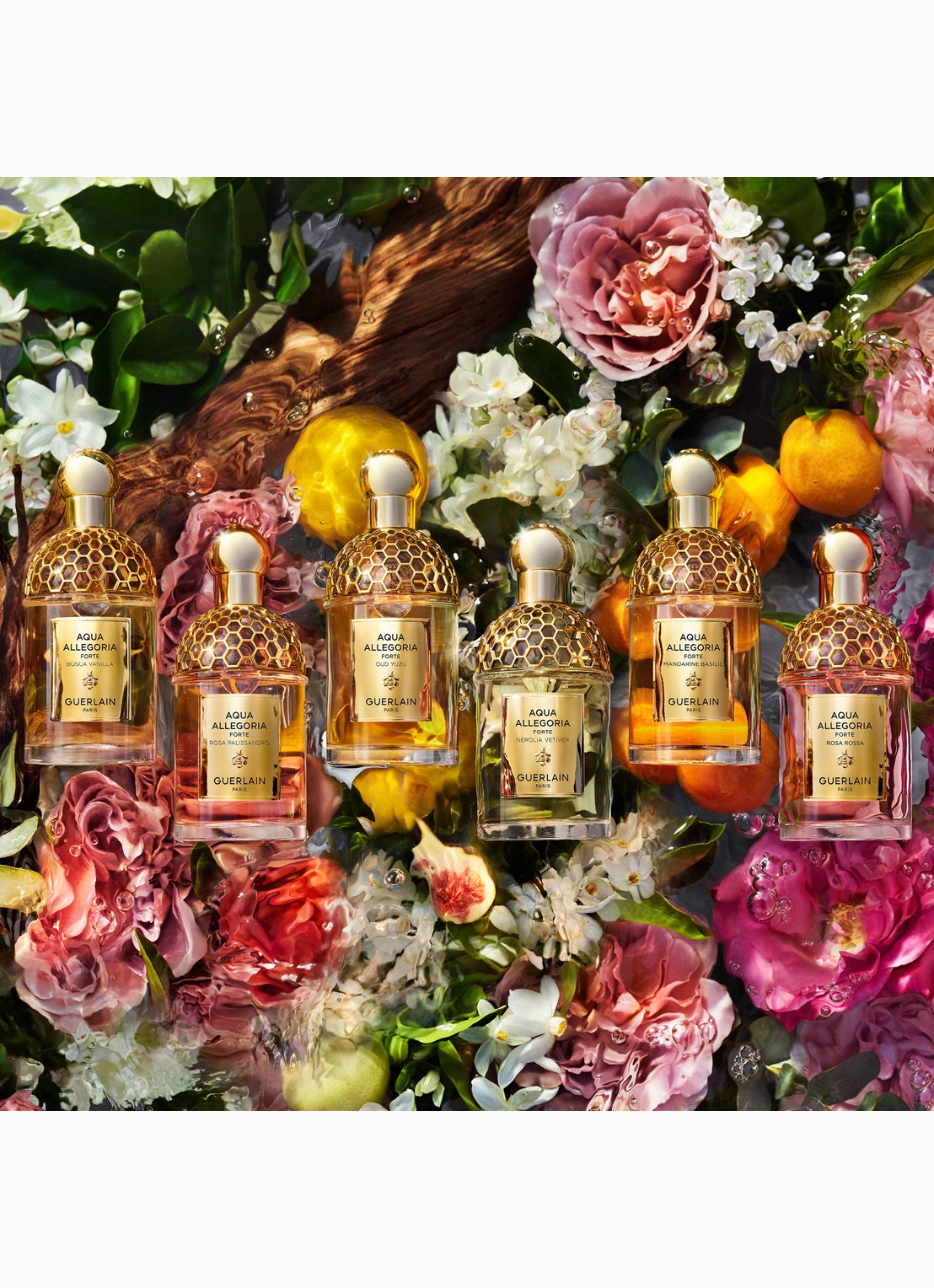 Guerlain Aqua Allegoria Forte Mandarine Basilic Eau de Parfum - detail 4 undefined