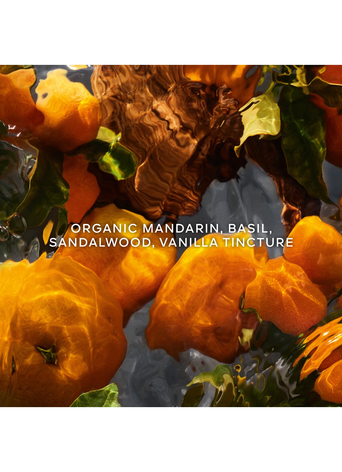Guerlain Aqua Allegoria Forte Mandarine Basilic Eau de Parfum - detail 4 undefined