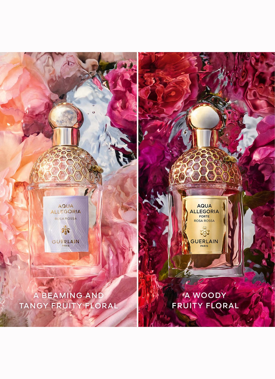 Guerlain Aqua Allegoria Forte Rosa Rossa - Eau de Parfum - detail 4 undefined