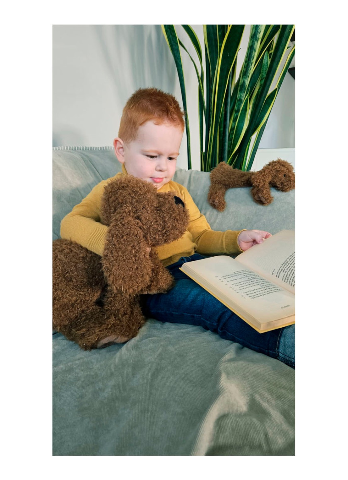 Happy Horse Labradoodle Larry no. 1 knuffel 28 cm - voorkant 2 bruin