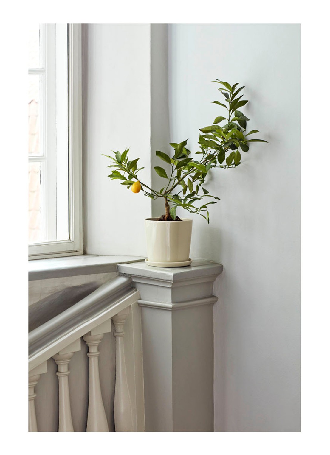 Hay Botanical Family bloempot L voor binnen - 18 cm - voorkant 2 gebroken wit