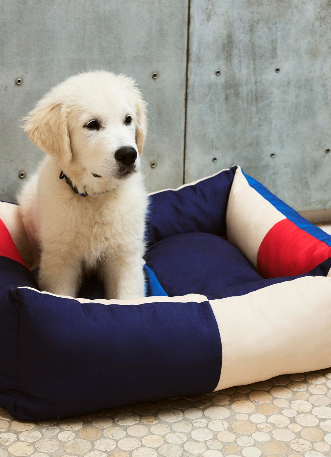 Hay HAY Dogs hondenmand 65 x 78 cm - voorkant 2 multicolor
