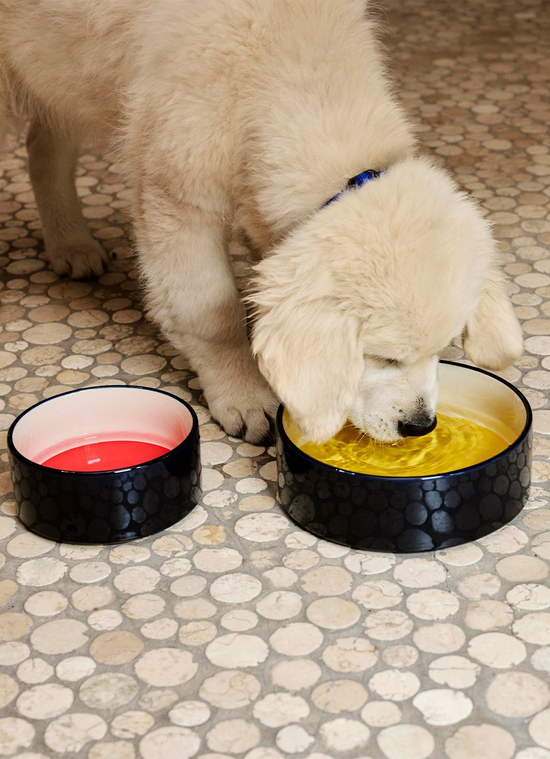 Hay Voerbak Small voor honden - voorkant 2 rood