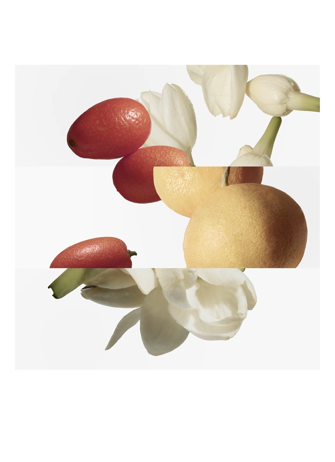 HERMÈS Le Jardin de Monsieur Li Eau de Toilette - navulling - voorkant 2 undefined