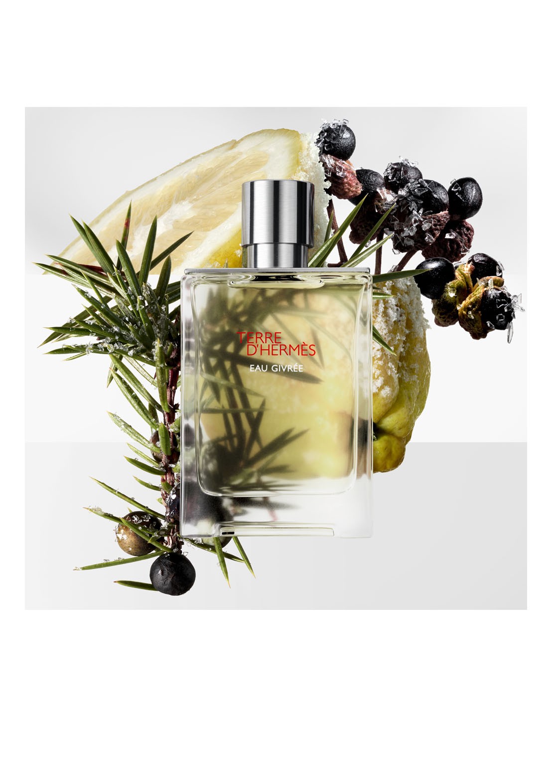 HERMÈS Terre d’Hermès Eau Givrée Eau de Parfum - detail 2 undefined