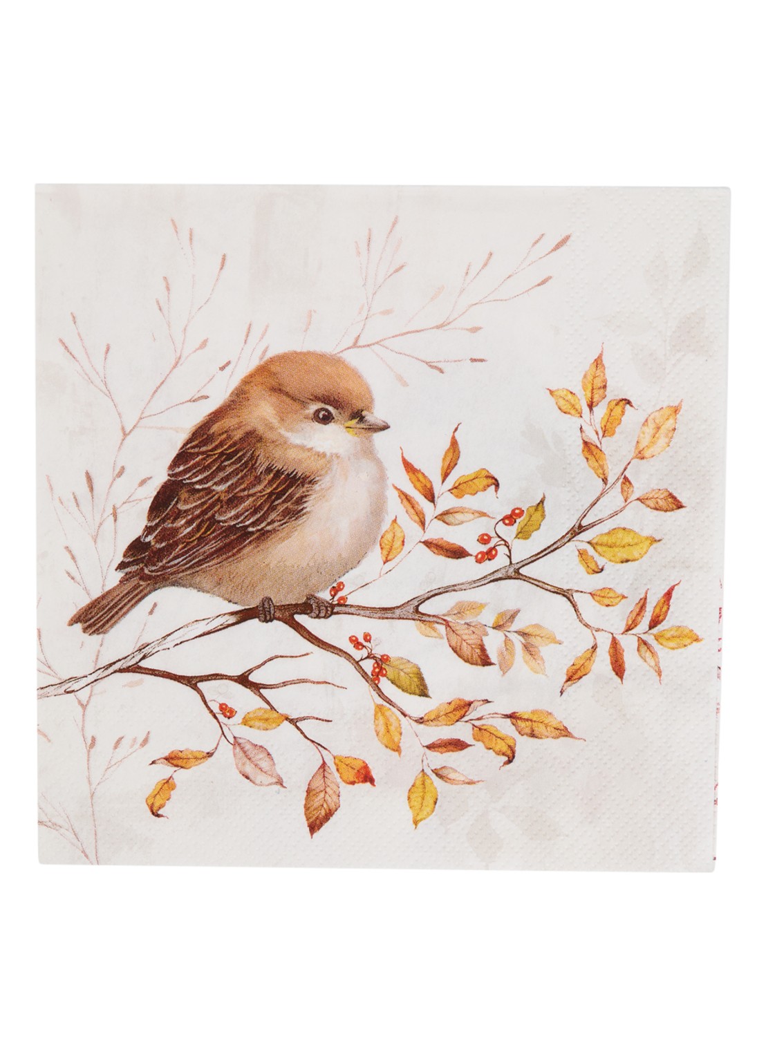 Ihr Ideal Home Autumn Melody servet 33 x 33 cm set van 20 - voorkant beige