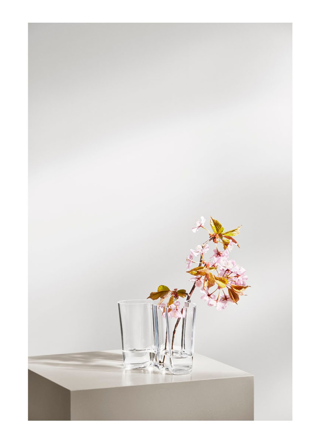 Iittala Alvar Aalto vaas helder 12 cm - detail 2 transparant