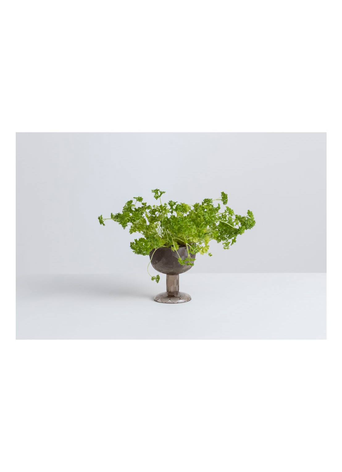 Iittala Miranda schaal op voet 11,5 cm - voorkant 2 bruin