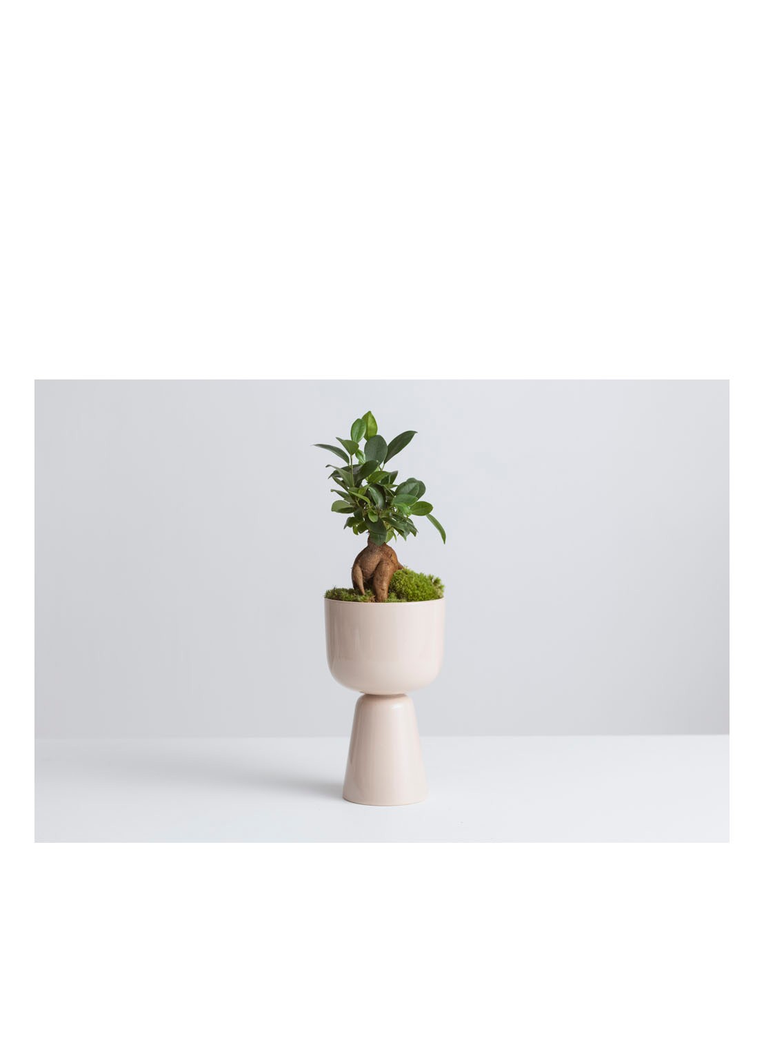 Iittala Nappula bloempot van keramiek voor binnen Ø15 cm - detail 5 creme