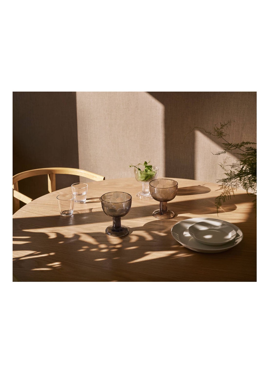 Iittala Teema dinerbord 26 cm - detail 4 wit