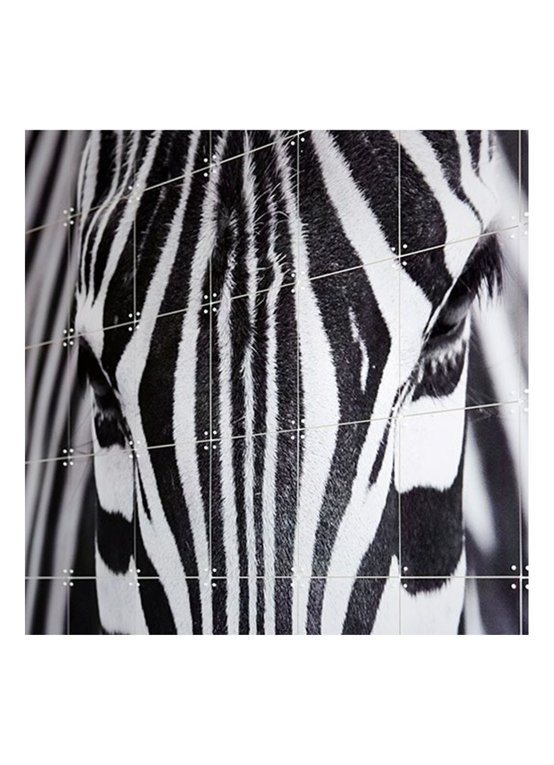 IXXI Zebra wanddecoratie 80 x 120 cm - detail grijs