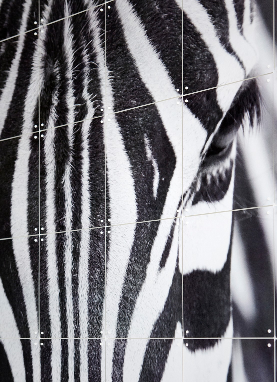 IXXI Zebra wanddecoratie 80 x 120 cm - voorkant 3 grijs
