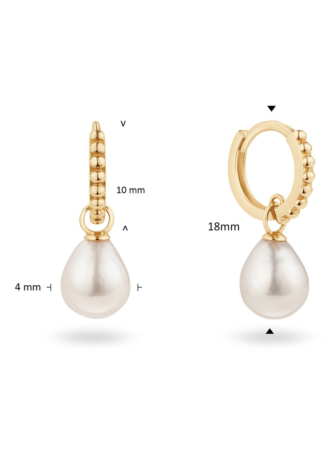Jackie 14K Gold Camps Pearl Bay oorringen van 14 karaat geelgoud - detail 3 goud
