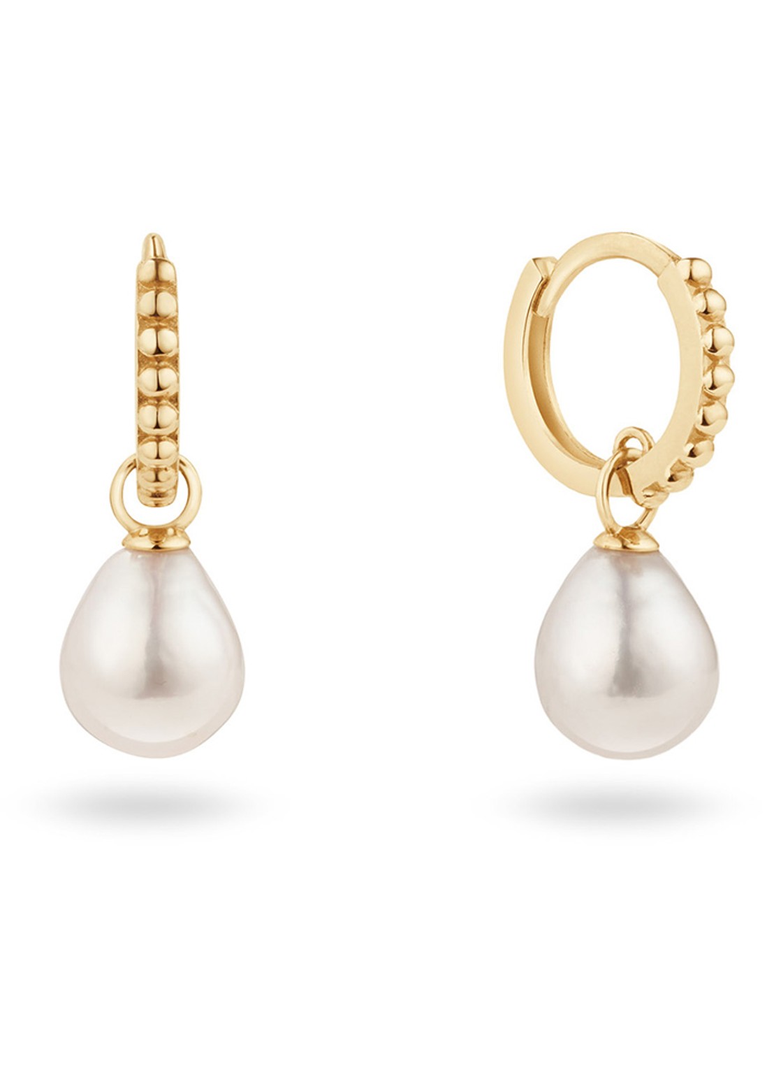 Jackie 14K Gold Camps Pearl Bay oorringen van 14 karaat geelgoud - voorkant goud