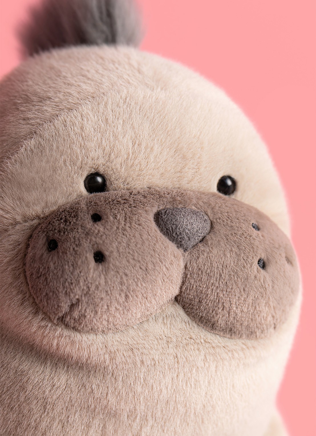 Jellycat Roarwell Sea Lion knuffel 20 cm - detail 4 multicolor