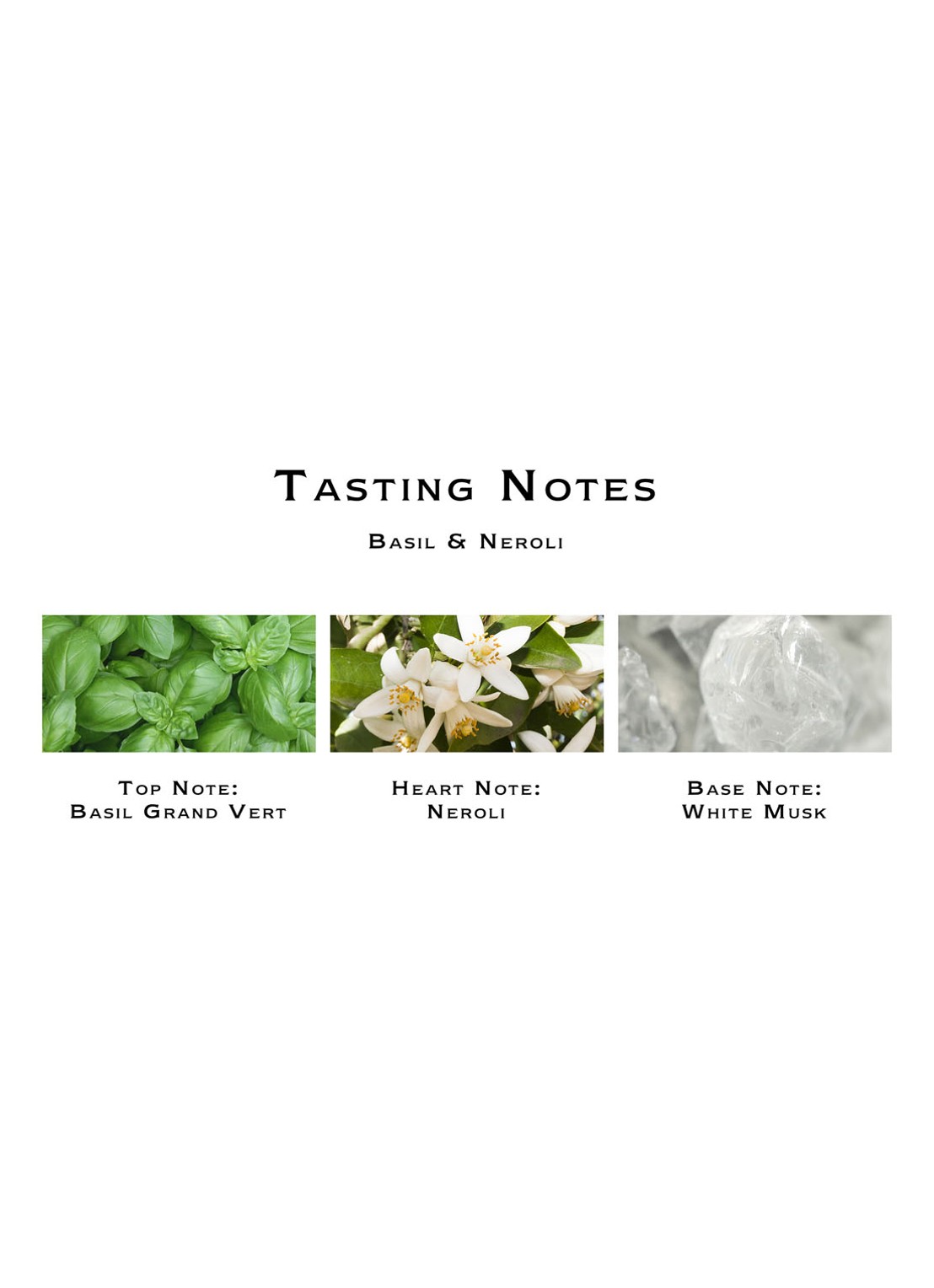 Jo Malone London Basil & Neroli Cologne - detail 4 undefined
