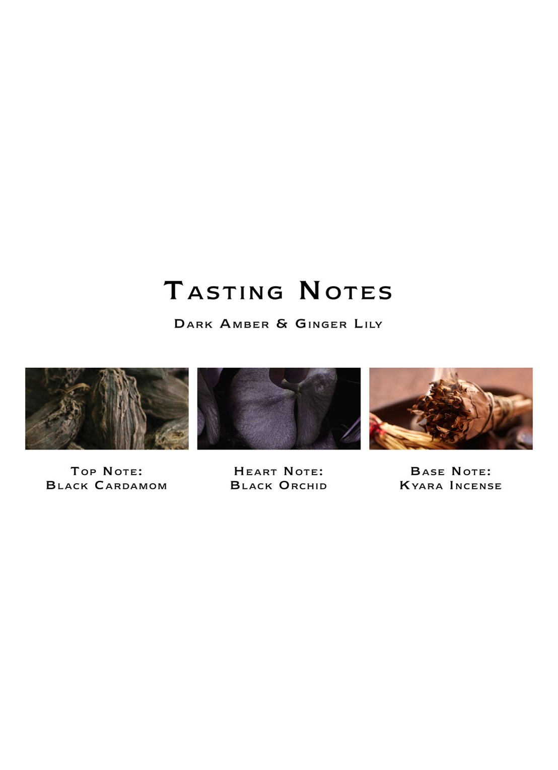 Jo Malone London Dark Amber & Ginger Lily Cologne - detail 3 undefined