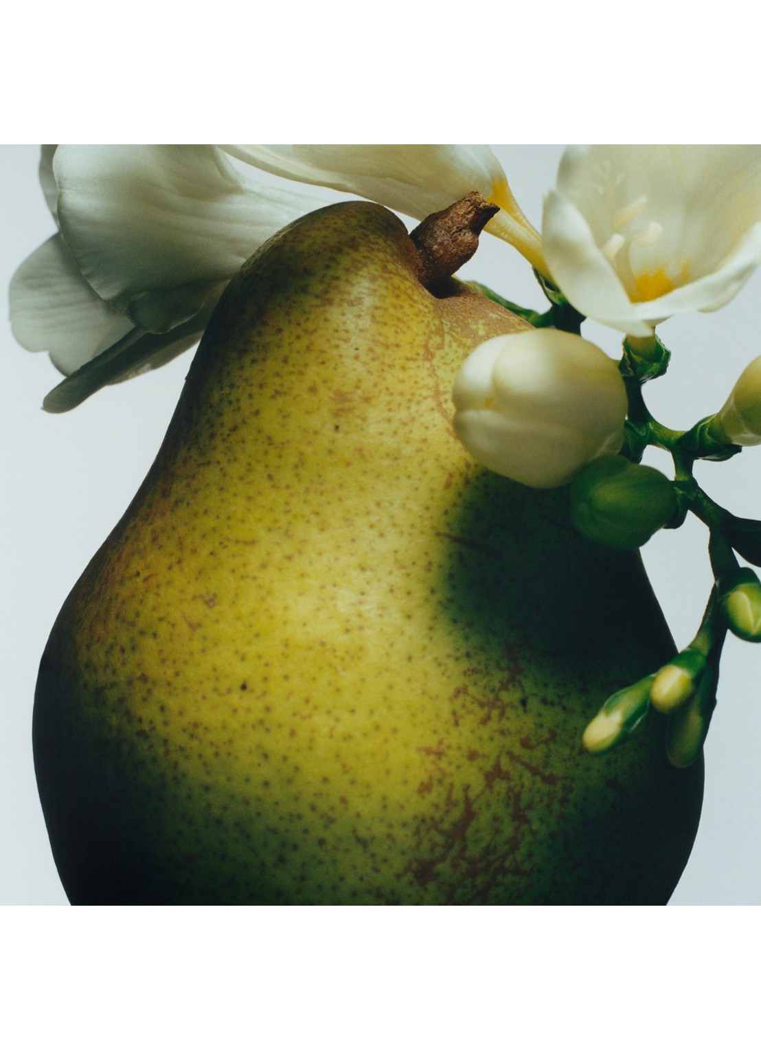 Jo Malone London English Pear & Freesia Body & Hand Wash - douchegel & handzeep - voorkant 4 undefined