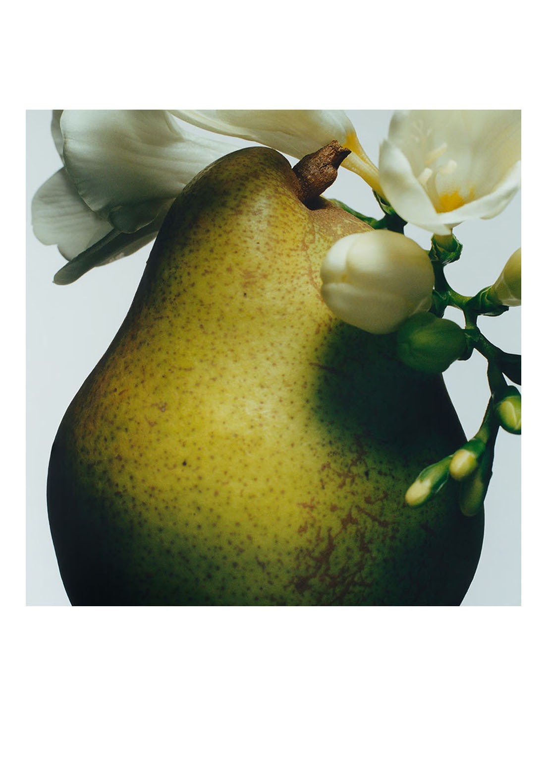 Jo Malone London English Pear & Freesia Cologne - detail 2 undefined