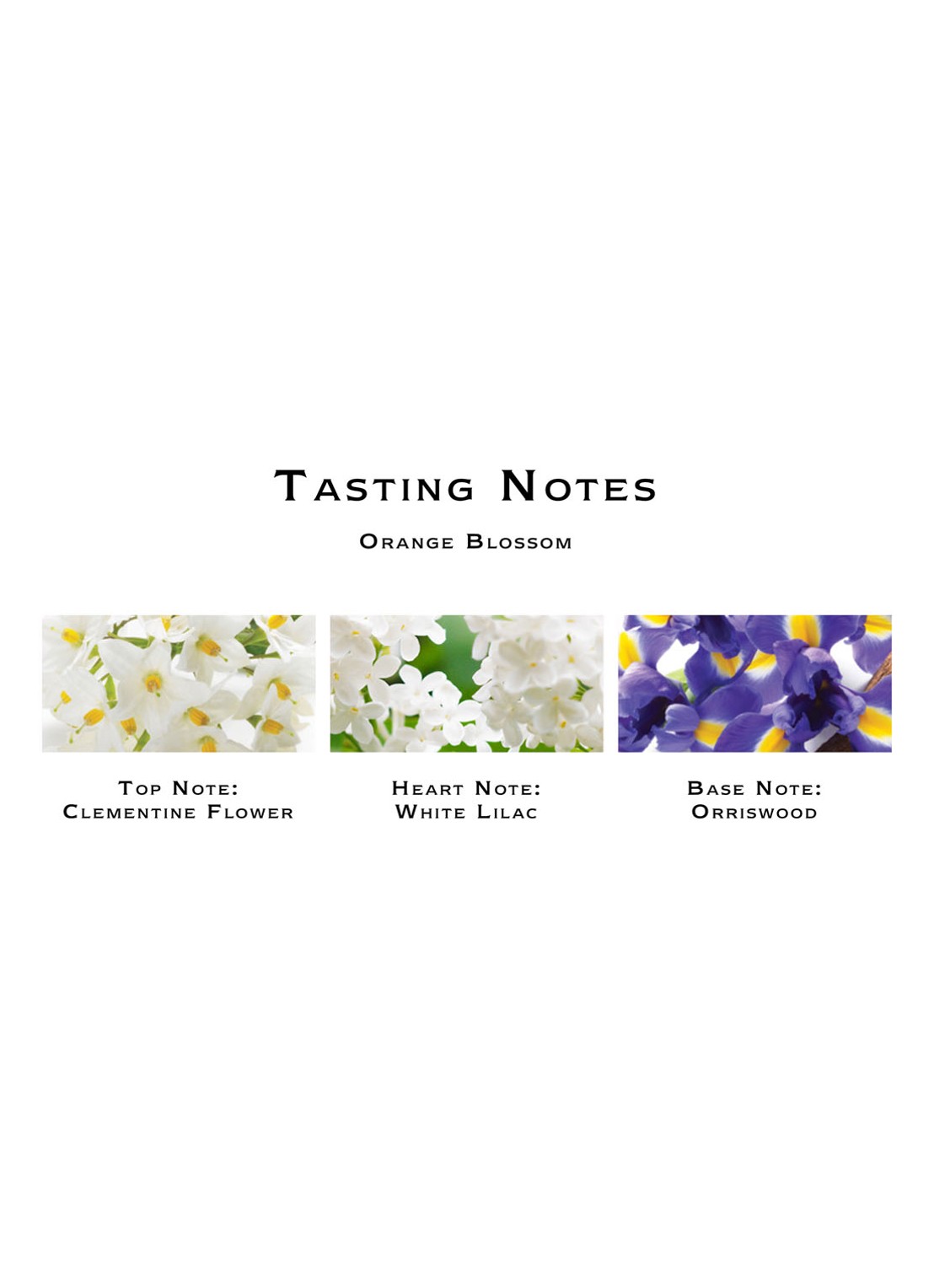 Jo Malone London Orange Blossom Cologne - detail 2 undefined