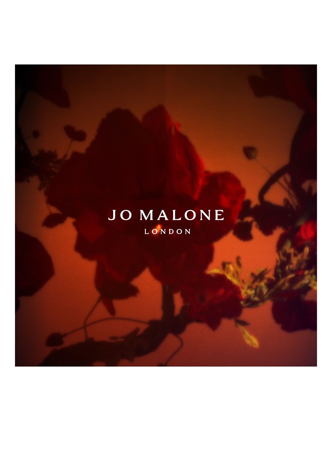 Jo Malone London Scarlet Poppy Cologne - detail 3 undefined