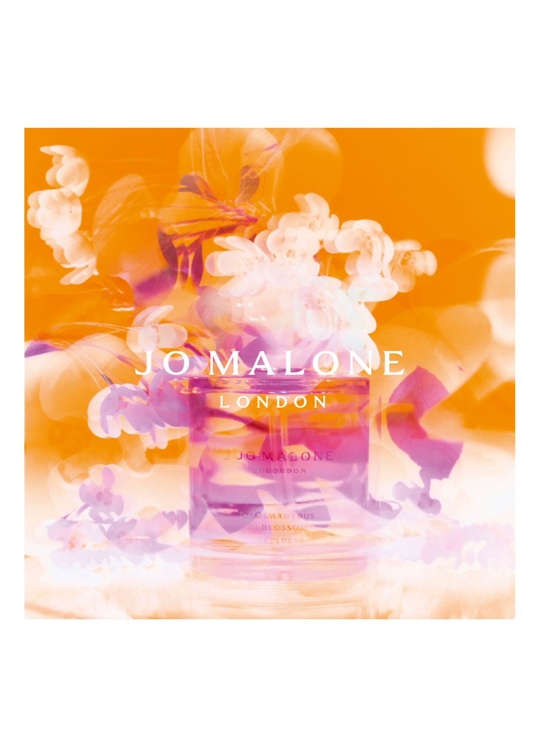 Jo Malone London Travel Trio - Limited Edition Cologne - detail 2 undefined