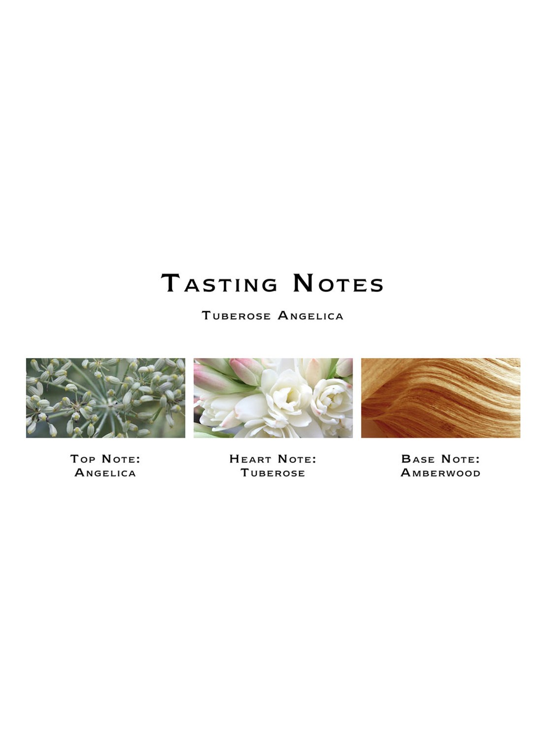 Jo Malone London Tuberose Angelica Body Creme - bodycrème - detail 2 undefined