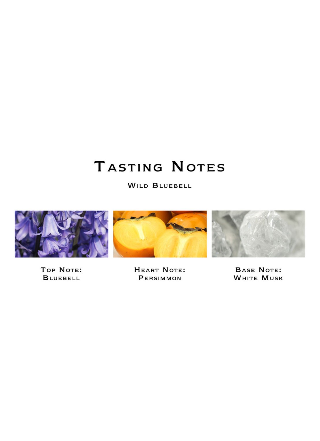 Jo Malone London Wild Bluebell Cologne - detail 4 undefined