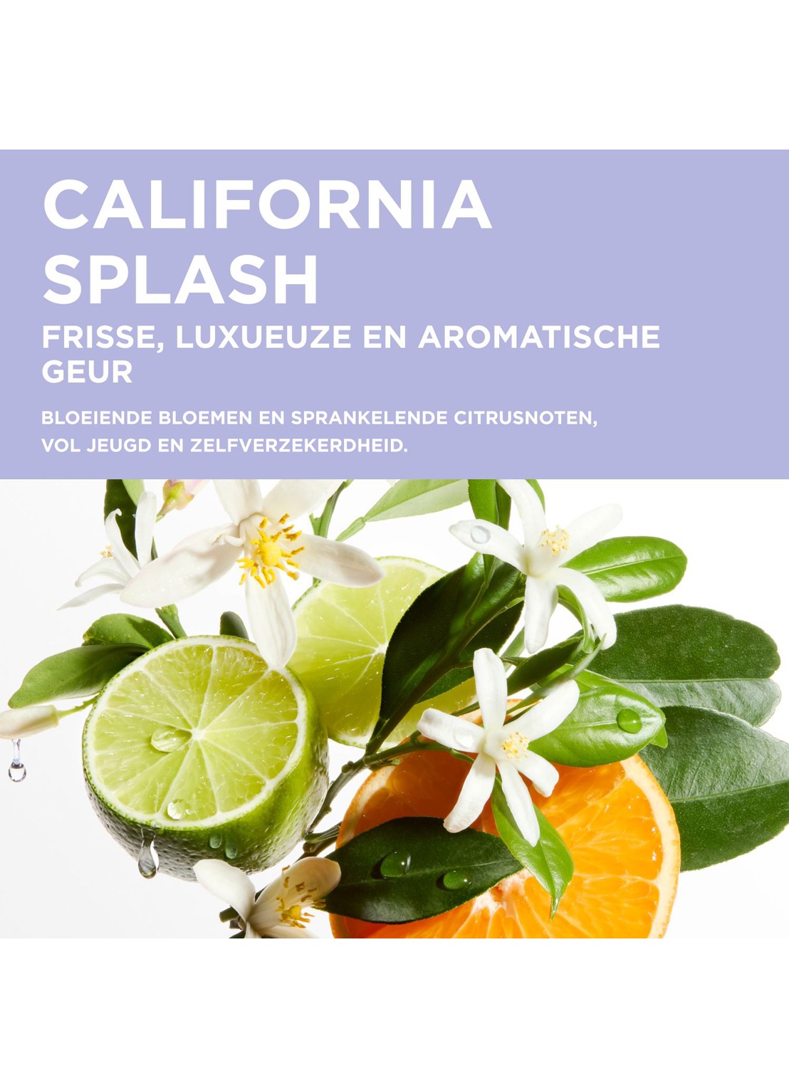 Kérastase Blond Absolu Bain Ultra-Violet - shampoo - detail 3 undefined