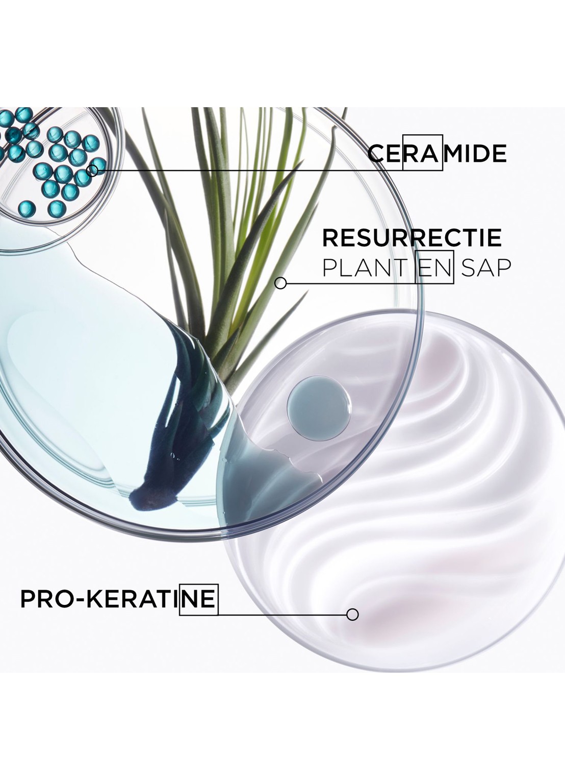 Kérastase Résistance Bain Force Architecte - shampoo - achterkant undefined