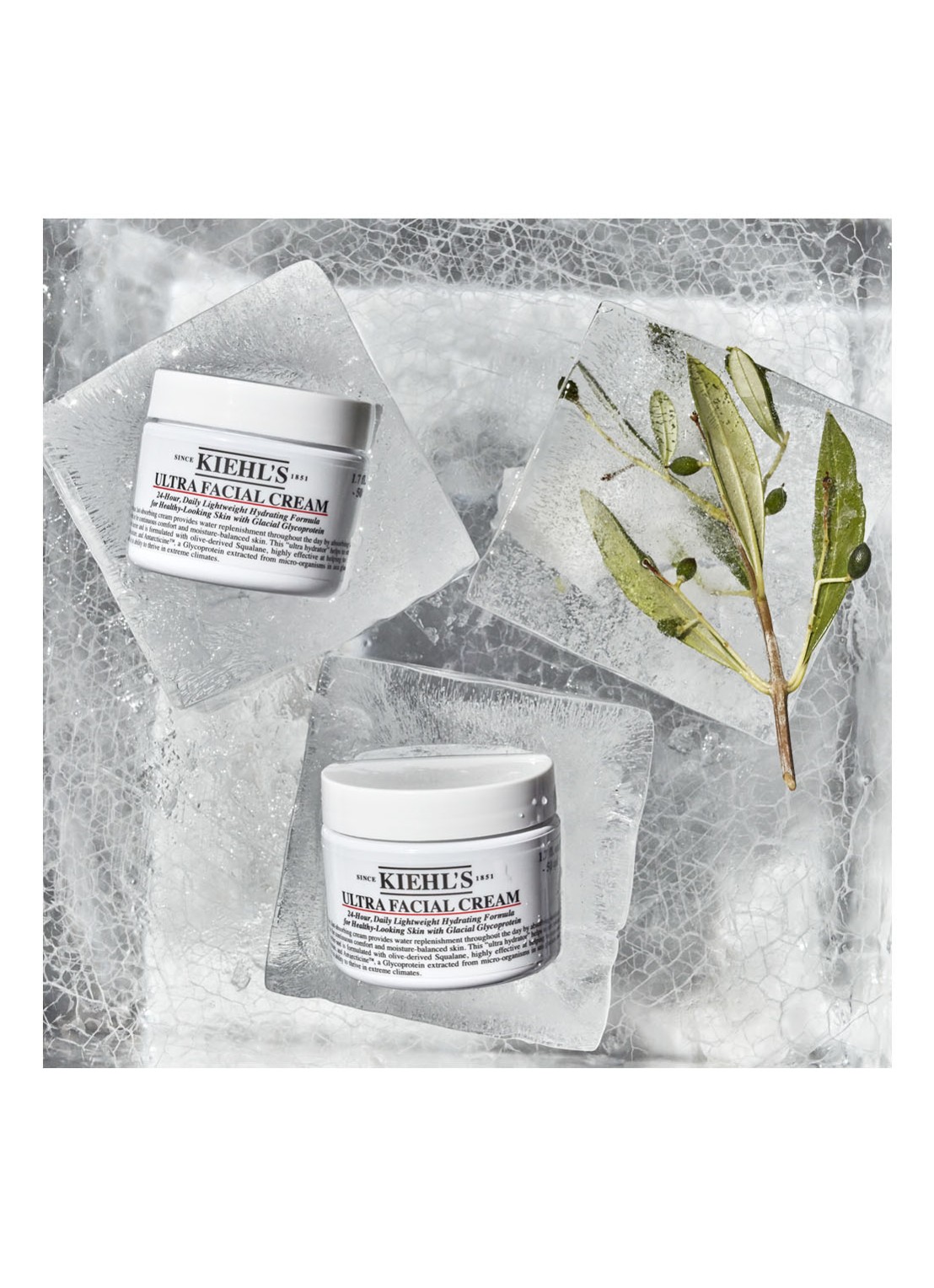 Kiehl's Ultra Facial Cream - verzorgende dag- en nachtcrème - detail 5 undefined