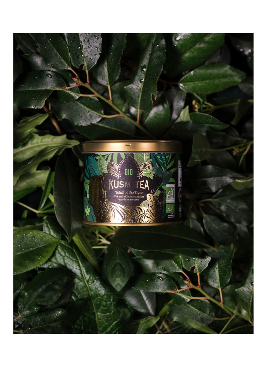 Kusmi Tea Tchaï of the Tiger WNF  losse thee 100 gram - detail 4 goud