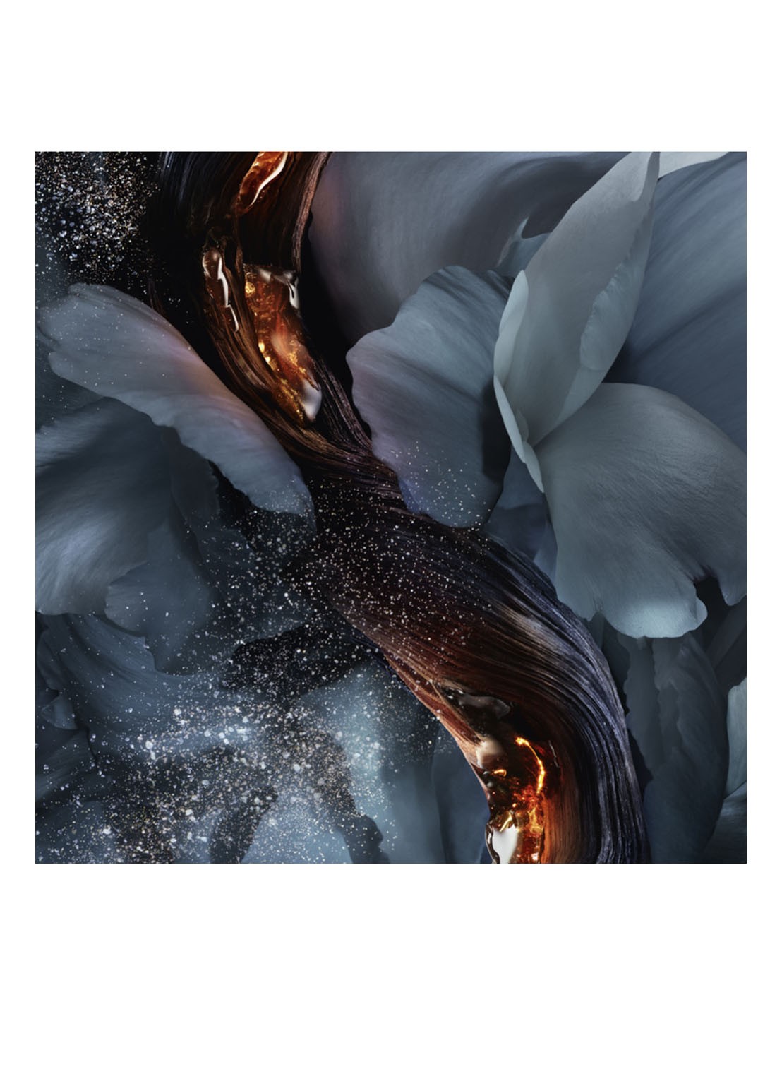 Lancôme Absolue Les Parfums Rose from The Dark Eau de Parfum - detail 2 undefined
