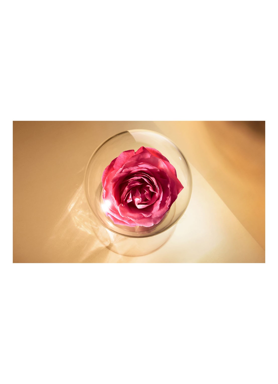 Lancôme Absolue Rich Cream - dag-en nachtcrème - detail 5 undefined