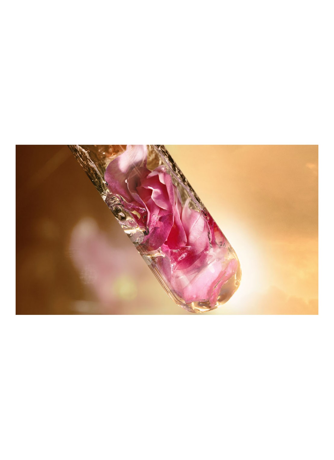 Lancôme Absolue Rich Cream - dag-en nachtcrème - detail 6 undefined