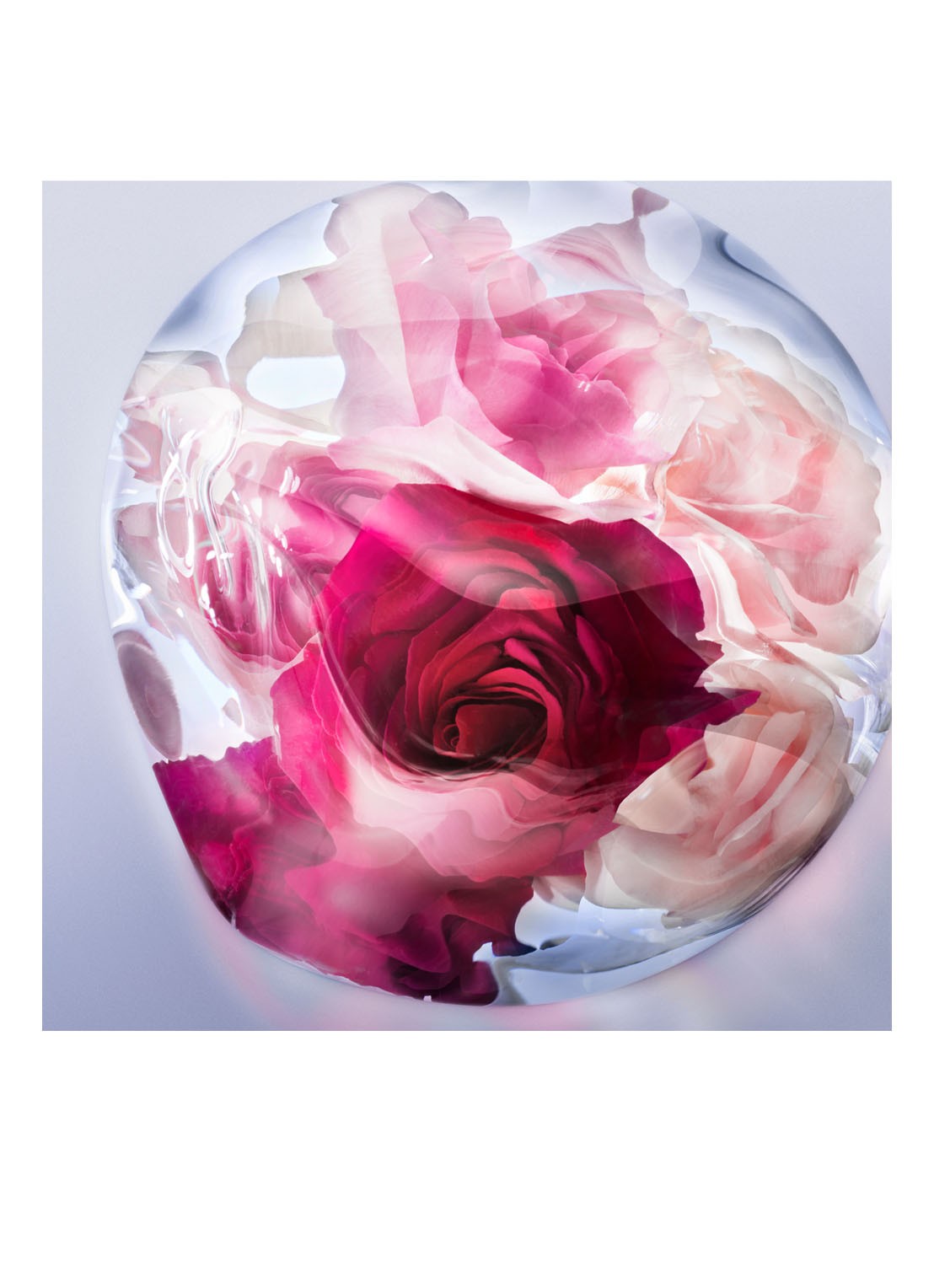 Lancôme La Vie est Belle Rose Extraordinaire Eau de Parfum - detail 4 undefined