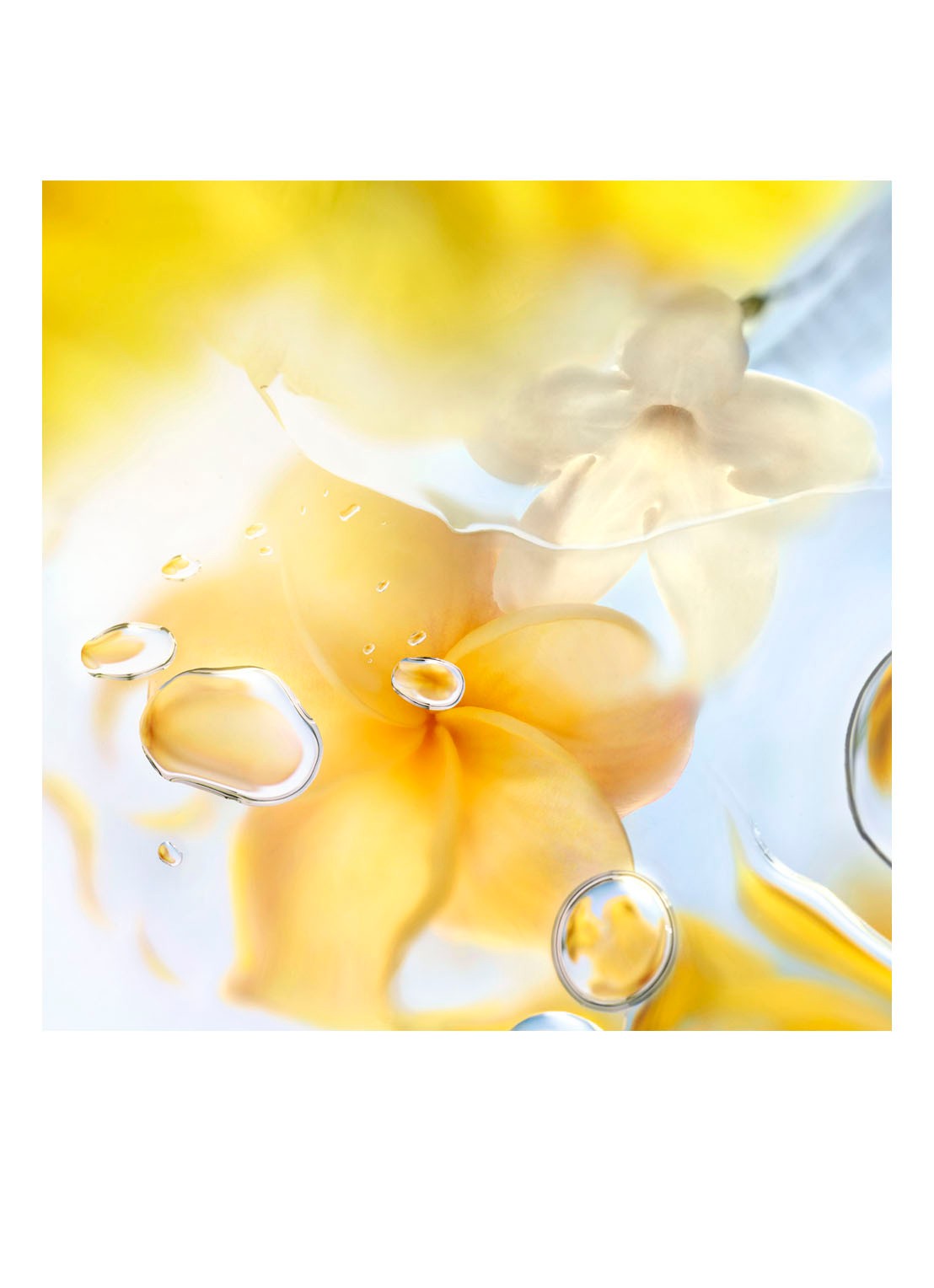 Lancôme Ô Zenith Eau de Toilette  - voorkant 5 undefined