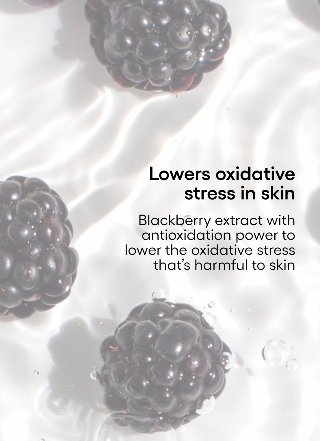Laneige Water Bank UV Sunscreen SPF50+  - zonnebrand voor het gezicht - detail 5 undefined
