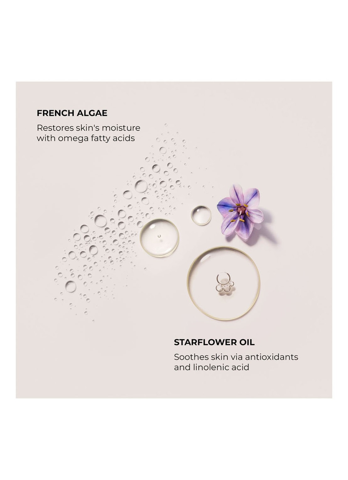 Laura Mercier Ambre Vanille Serum Body Cream - bodycrème - detail 4 undefined