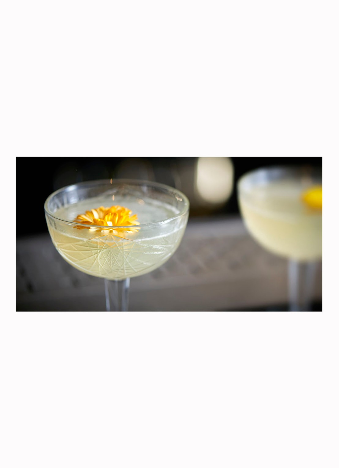 Libbey Hobstar coupe 25 cl - detail 2 transparant