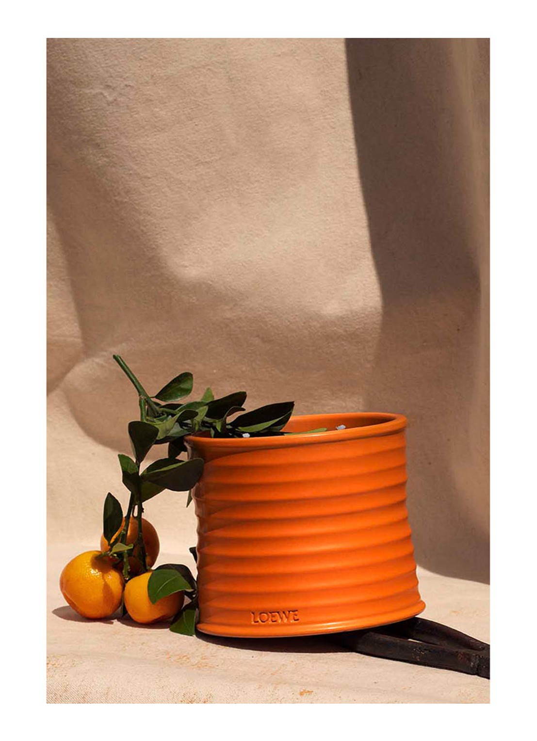 LOEWE Medium Orange Blossom Candle - geurkaars 610 gram - detail 6 undefined