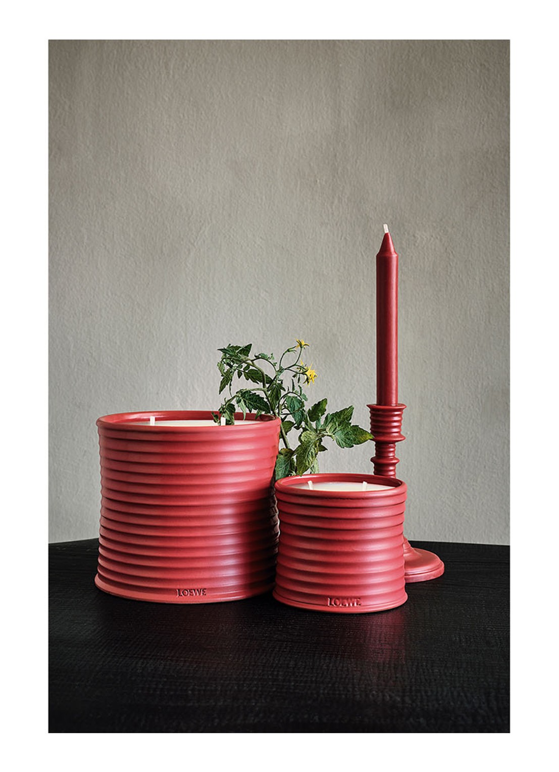 LOEWE Medium Tomato Leaves Candle - geurkaars 610 gram - detail 5 undefined
