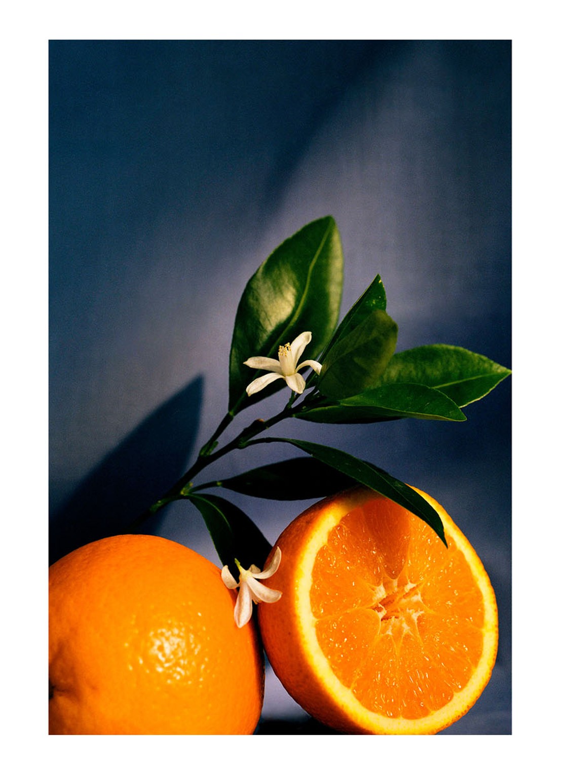 LOEWE Orange Blossom Wax Candle - geurkaars kandelaar 330 gram - detail 4 undefined