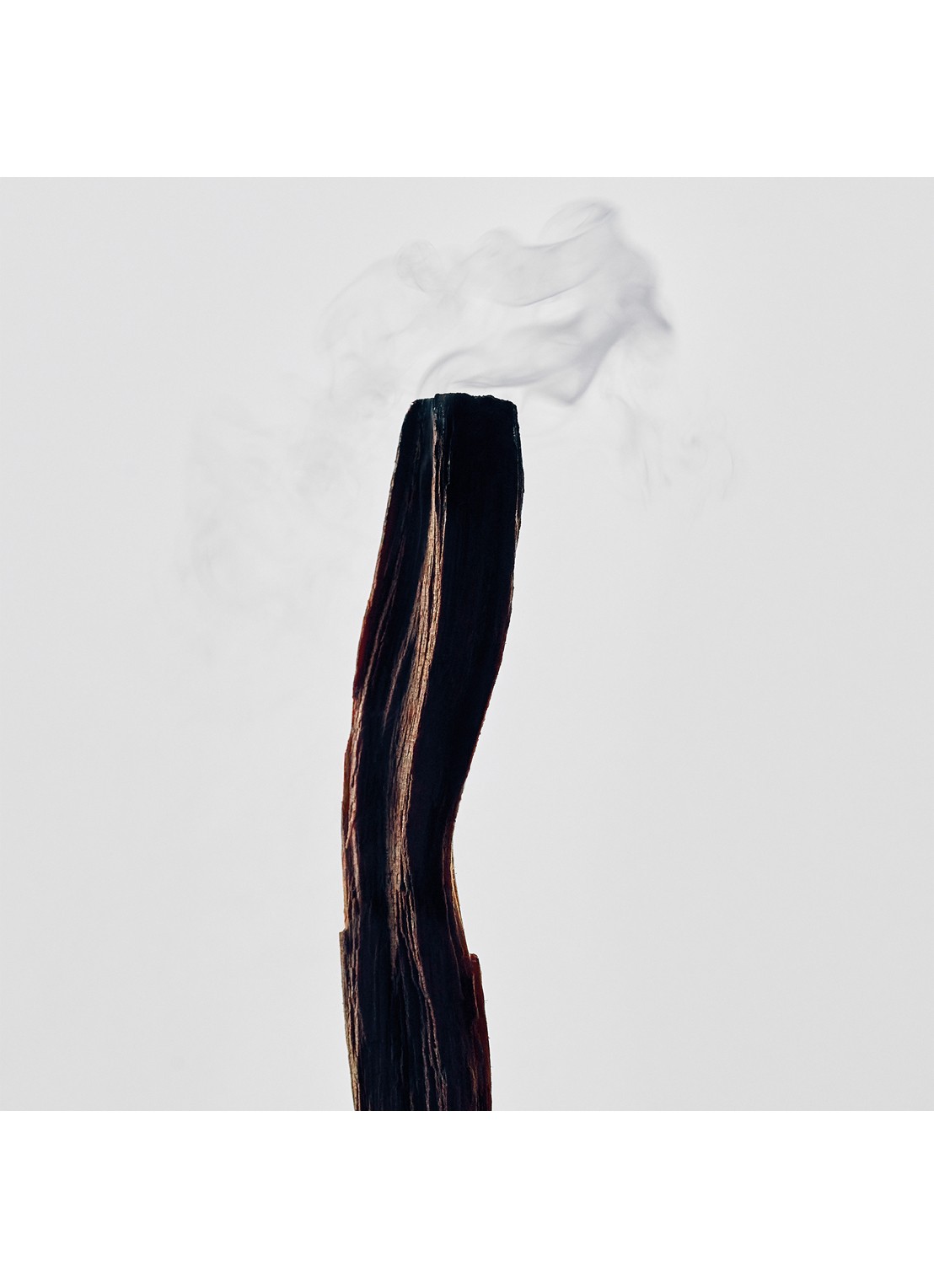 LOEWE Scent of Palo Santo Candle - geurkaars 610 gram - detail undefined
