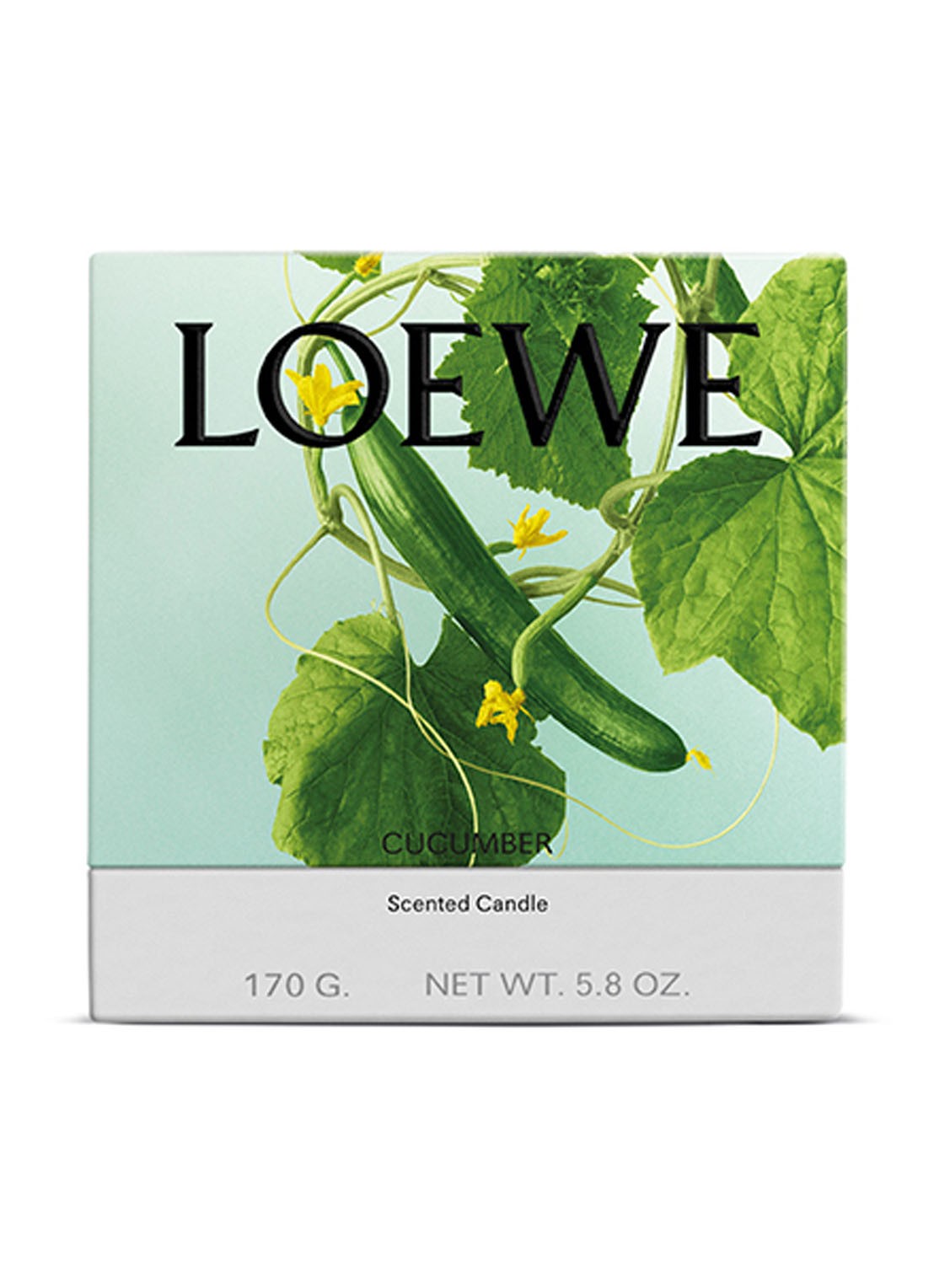 LOEWE Small Cucumber Candle - geurkaars 170 gram - voorkant 7 undefined