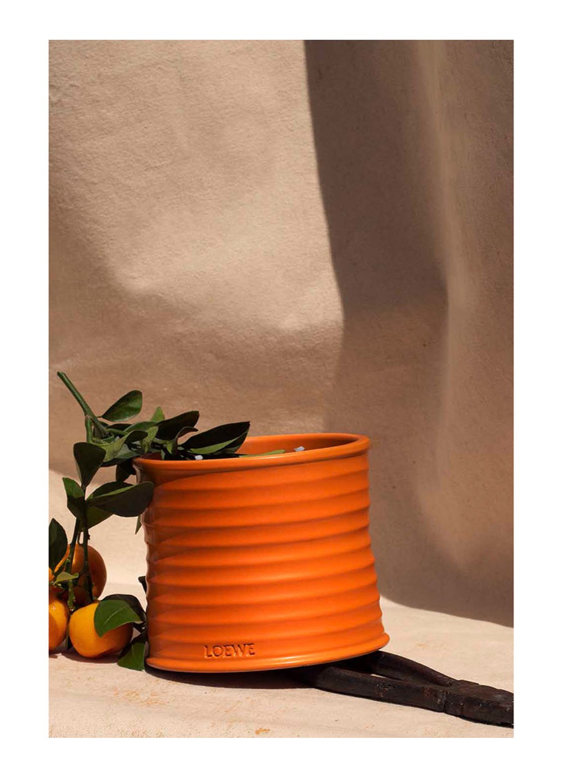 LOEWE Small Orange Blossom Candle - geurkaars 170 gram - detail 6 undefined