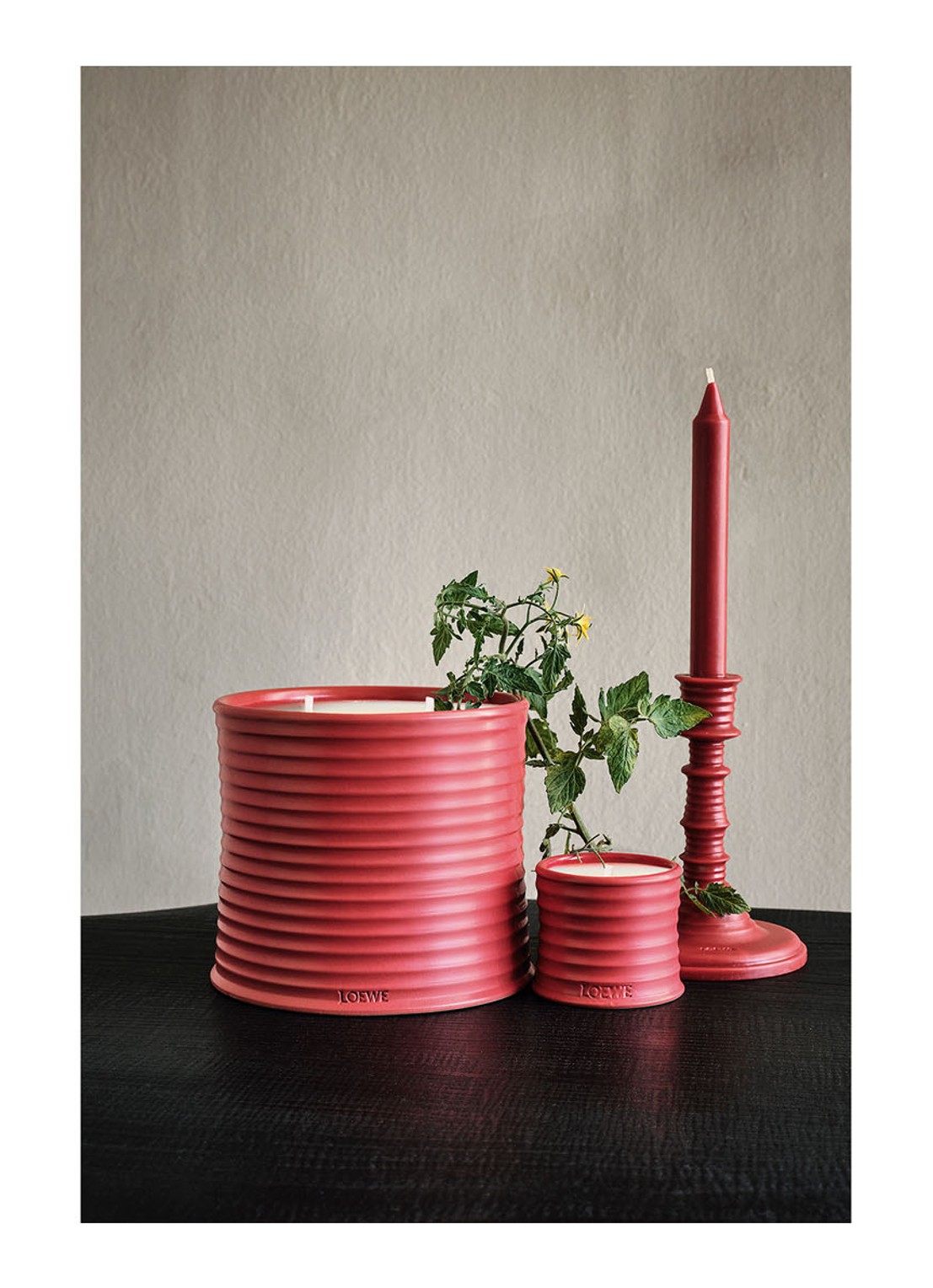 LOEWE Small Tomato Leaves Candle - geurkaars 170 gram - detail 7 undefined